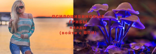 винт Белокуриха