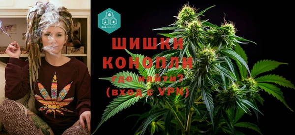 винт Белокуриха
